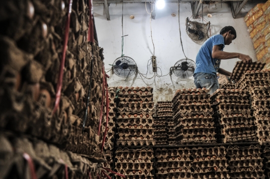 Harga Telur Ayam Terus Meroket