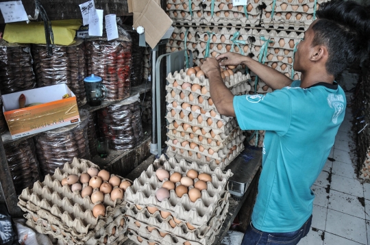 Harga Telur Ayam Terus Meroket