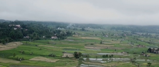 Potret Pesona Nagari Pariangan, Salah Satu Desa Terindah di Dunia Ada di Sumbar