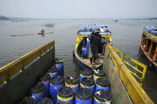 Jerit Petani Ikan di Waduk Cirata Cianjur karena Kenaikan Harga Pakan