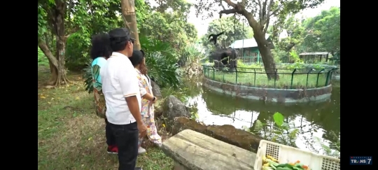 7 Potret Kebun Binatang di Rumah Mantan Gubernur DKI, Marshel dan Mpok Alpa Melongo