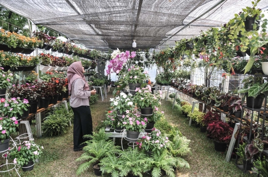 Mengunjungi Festival Flora dan Fauna di Lapangan Banteng