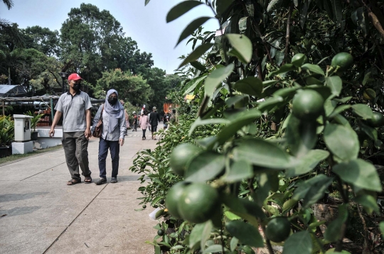 Mengunjungi Festival Flora dan Fauna di Lapangan Banteng