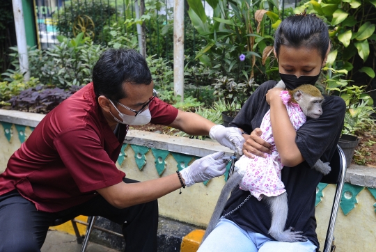 Kucing, Musang hingga Monyet Antre Vaksinasi Rabies Gratis