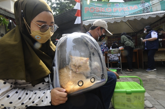 Kucing, Musang hingga Monyet Antre Vaksinasi Rabies Gratis