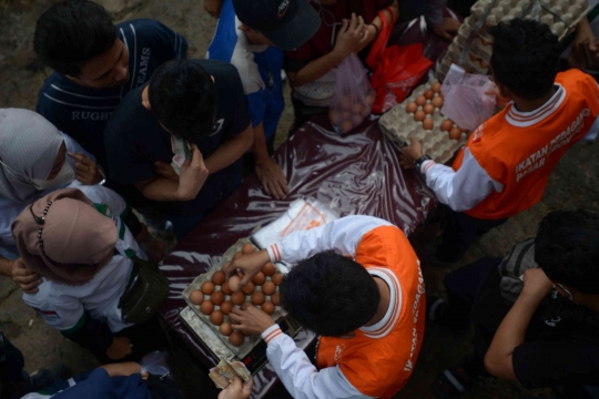 Operasi Pasar untuk Menstabilkan Harga Telur Ayam Ras