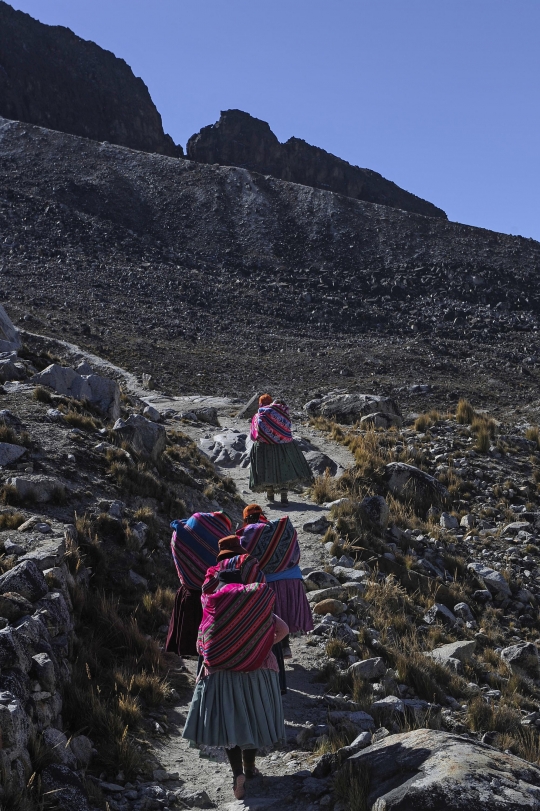 Aksi Perempuan Adat Mendaki Gunung Bersalju di Bolivia