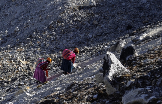 Aksi Perempuan Adat Mendaki Gunung Bersalju di Bolivia