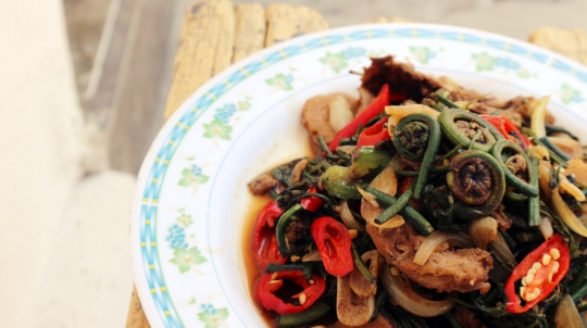 Benarkah Pakis Sayur Beracun dan Bahaya Dikonsumsi? Ini Faktanya
