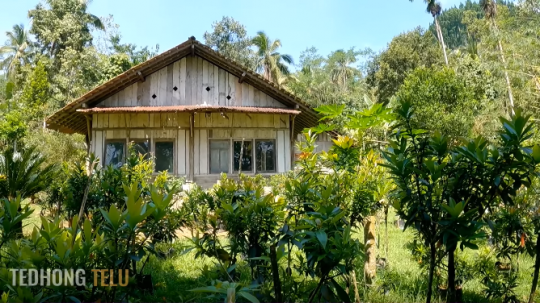 Ingin Hidup Tenang, Ini Potret Rumah Sederhana Pensiunan PNS di Pinggir Hutan
