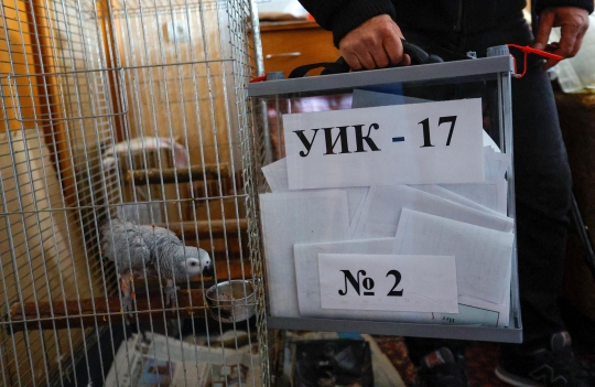 Rusia Datangi Rumah-Rumah Warga Ukraina untuk Referendum