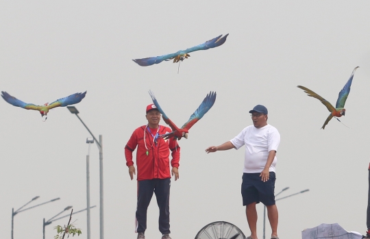 Keseruan Peserta dalam Lomba Burung Paruh Bengkok