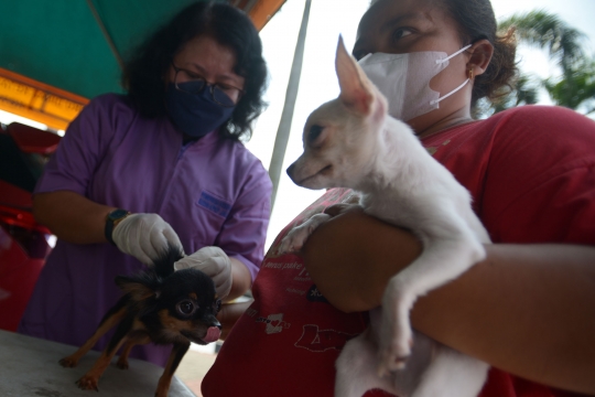 Hari Rabies Sedunia, Pemprov DKI Gelar Vaksinasi Hewan Peliharaan Gratis
