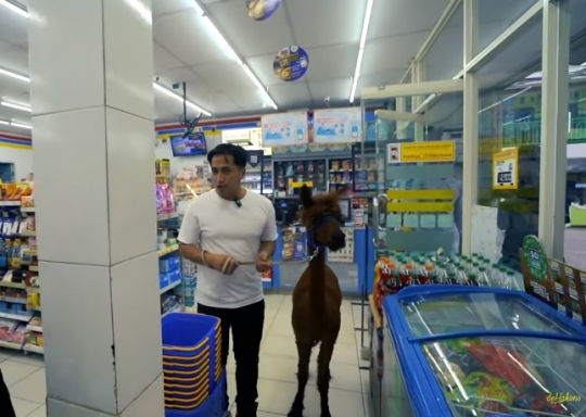 Tuai Pro Kontra, Intip Momen Irfan Hakim Bawa Alpaca ke Minimarket