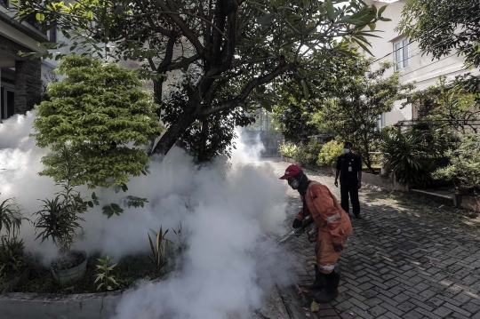 Waspada Penyakit Demam Berdarah di Musim Penghujan