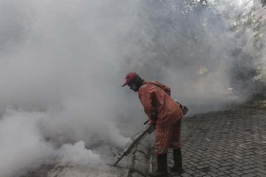 Waspada Penyakit Demam Berdarah di Musim Penghujan