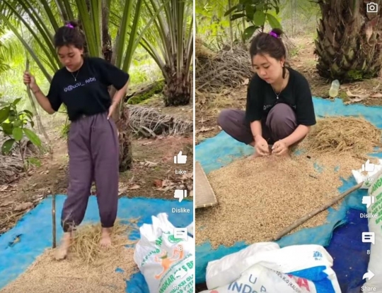 Pesona Gadis Dayak Pekerja Keras, Tak Kenal Gengsi!