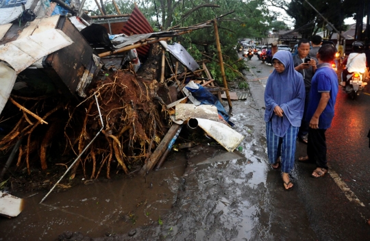 Hujan Es dan Angin Kencang Sebabkan Pohon Tumbang di Depok