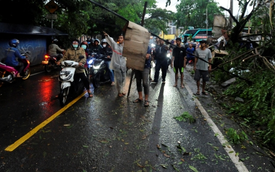 Hujan Es dan Angin Kencang Sebabkan Pohon Tumbang di Depok