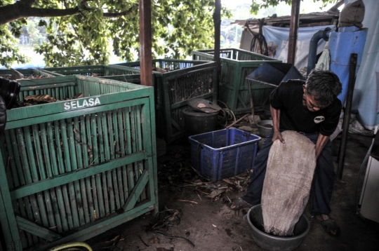 Menyulap Sampah Jadi Bahan Bakar Nabati