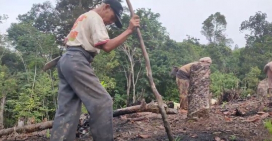 Jauh dari Hingar Bingar Kota, Begini Kehidupan Suku Dayak Pedalaman Kalimantan
