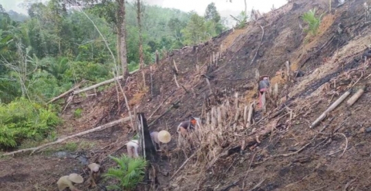 Jauh dari Hingar Bingar Kota, Begini Kehidupan Suku Dayak Pedalaman Kalimantan