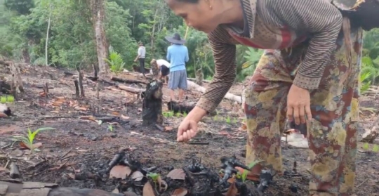 Jauh dari Hingar Bingar Kota, Begini Kehidupan Suku Dayak Pedalaman Kalimantan