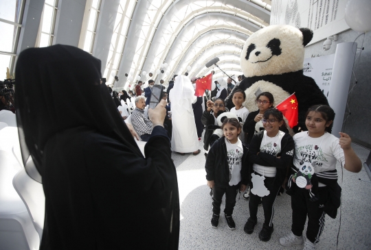 Qatar Dihadiahi Panda Raksasa dari China Jelang Piala Dunia 2022
