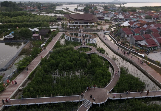 Menikmati Keindahan Taman Mangrove di Desa Pesisir Ketapang