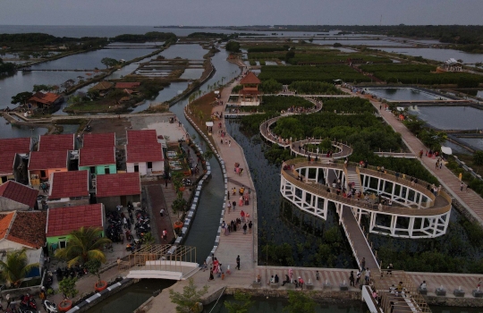 Menikmati Keindahan Taman Mangrove di Desa Pesisir Ketapang