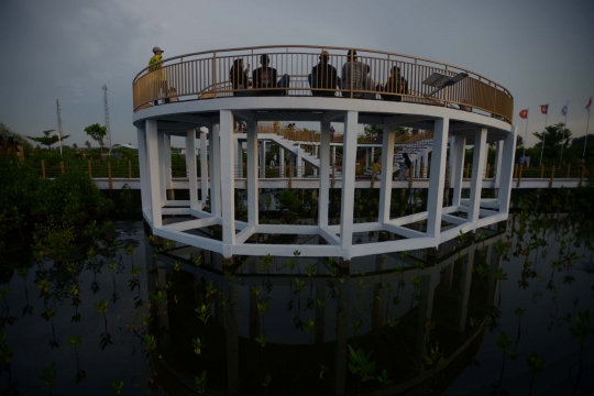 Menikmati Keindahan Taman Mangrove di Desa Pesisir Ketapang