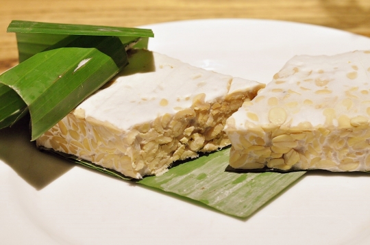 5 Fakta Menarik Tempeh atau Tempe, Google Doodle Hari Ini