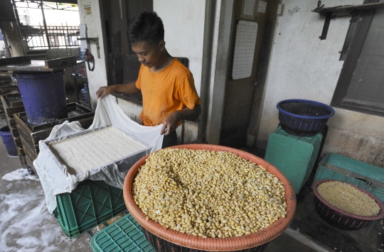 Perajin Tahu Menjerit Harga Kedelai Tembus Rp14 Ribu per Kg