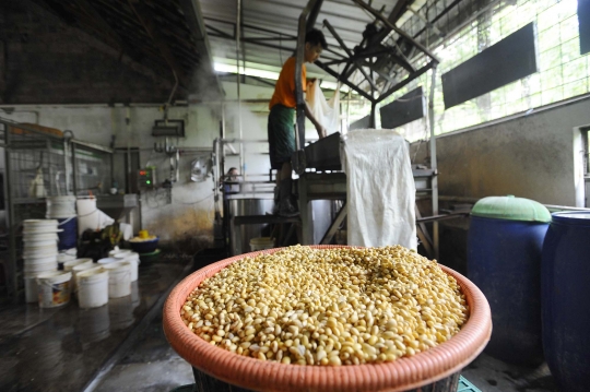 Perajin Tahu Menjerit Harga Kedelai Tembus Rp14 Ribu per Kg