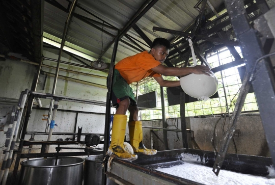 Perajin Tahu Menjerit Harga Kedelai Tembus Rp14 Ribu per Kg