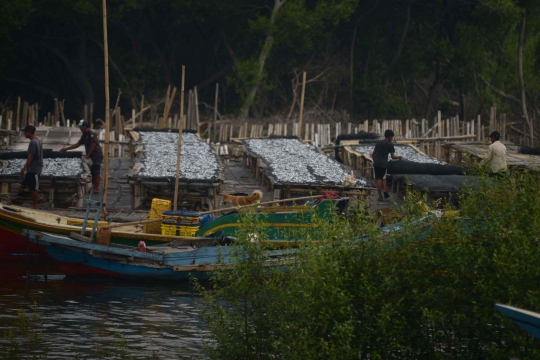 Waspada Perubahan Cuaca di Pesisir Jakarta