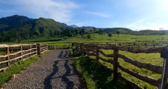 Mirip New Zealand, Begini Potret Desa Indah di Kaki Gunung Slamet