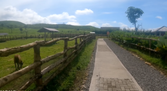 Mirip New Zealand, Begini Potret Desa Indah di Kaki Gunung Slamet