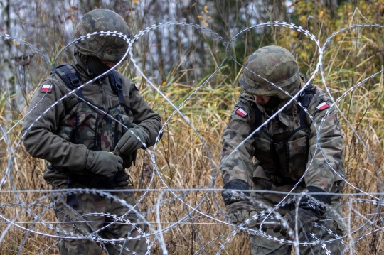 Mencegah Arus Ilegal, Polandia Bangun Pagar Berduri di Perbatasan dengan Rusia