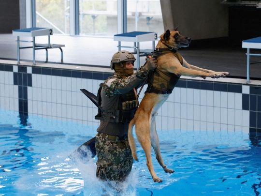 Intip Latihan Pasukan Elit Antiteror KSK di Jerman