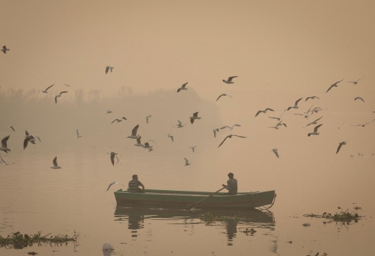 Penampakan New Delhi Diselimuti Polusi Udara Berbahaya