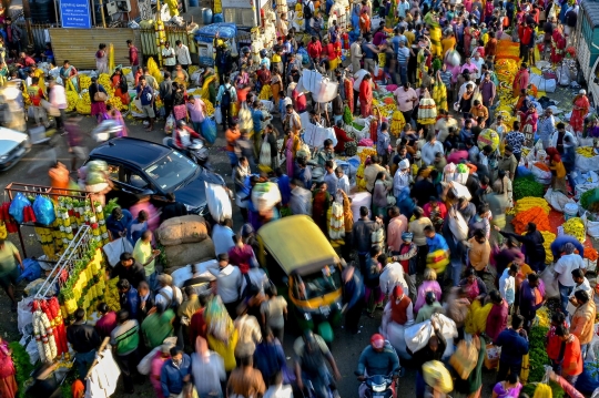 Populasi Dunia Diprediksi Capai 8 Miliar Orang di November 2022