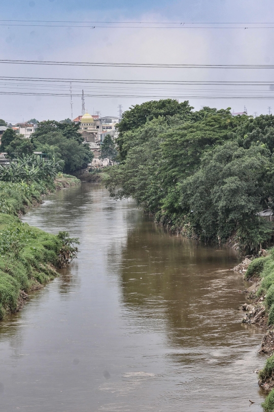 Pemprov DKI Anggarkan Rp700 M untuk Normalisasi Ciliwung