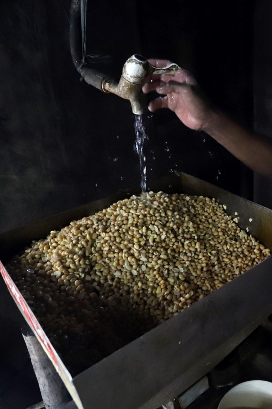 Indonesia Impor 350.000 Ton Kedelai dari Amerika