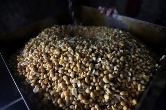 Indonesia Impor 350.000 Ton Kedelai dari Amerika