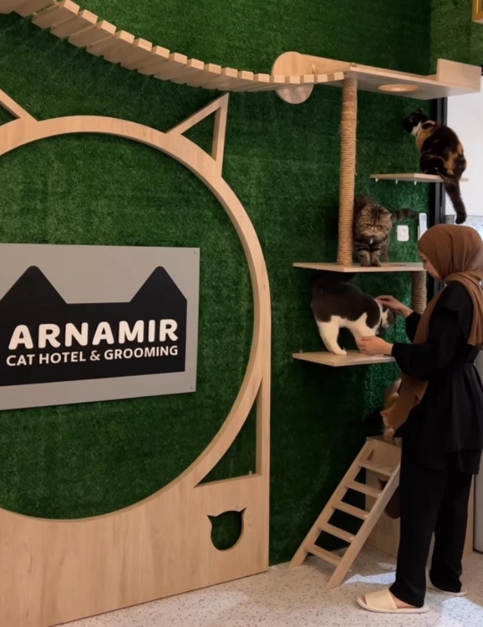 Gemas Banget, Ini Deretan Potret Hotel Kucing Milik Tya Ariestya