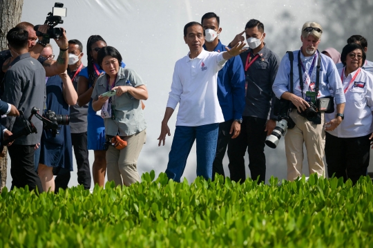 Presiden Jokowi Tinjau Tahura Ngurah Rai, Lokasi Pemimpin G20 Tanam Mangrove