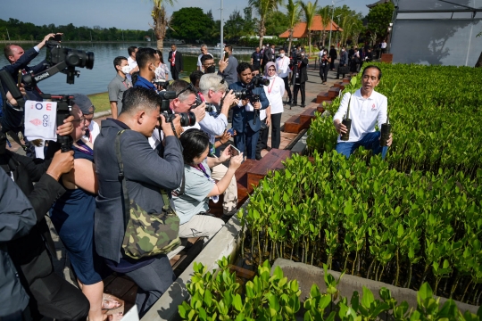 Presiden Jokowi Tinjau Tahura Ngurah Rai, Lokasi Pemimpin G20 Tanam Mangrove