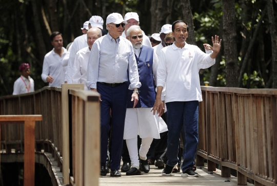 Potret Jokowi Ajak Pemimpin Negara G20 Nyangkul dan Tanam Mangrove di Bali