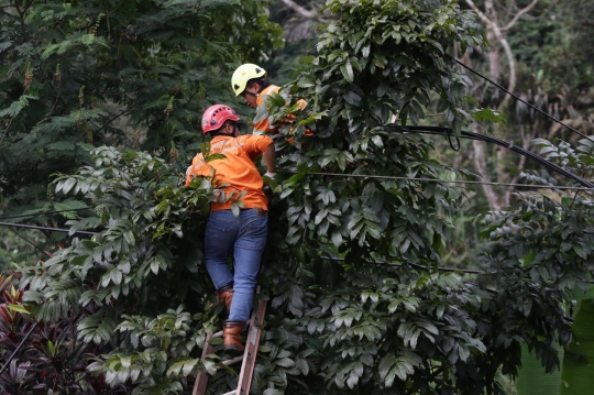 Perjuangan PLN Menyambung Kabel yang Terputus Usai Gempa Bumi di Cianjur